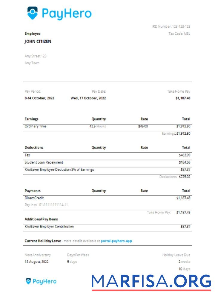Printable USA PayHero financial company pay stub sample